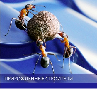 Все работы креативного агентства Желтая собака (годовые отчеты, корпоративные календари, подарки, фирменный стиль)